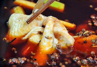 冷鍋魚係列哔咔漫画APP下载