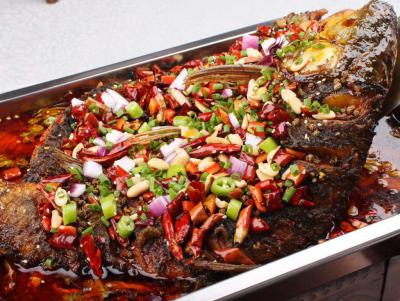 成都烤魚技術哔咔漫画APP下载  專業學習萬州烤魚