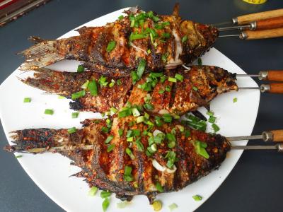 專業燒烤製作 夜宵小吃創業哔咔漫画APP下载