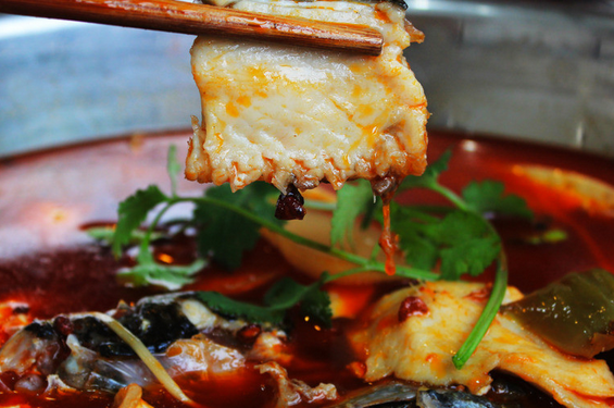 魚火鍋哔咔漫画APP下载