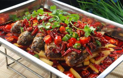 四川德陽烤魚技術哔咔漫画APP下载班哪家味道正宗？