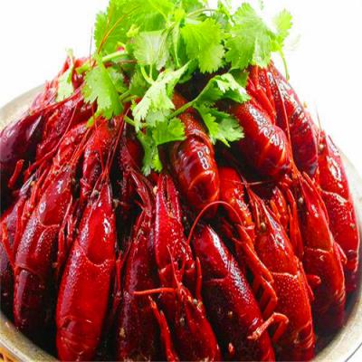 四川麻辣小龍蝦技術哔咔漫画APP下载哪裏好？底料熬製方法