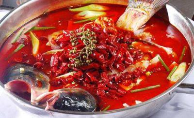 四川火鍋魚技術哔咔漫画APP下载學校哪裏好？正宗魚火鍋做法