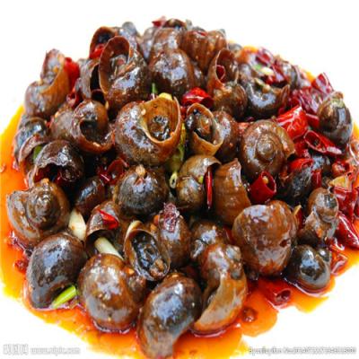 四川特色燒烤技術哔咔漫画APP下载哪裏好?生蠔扇貝各種口味調製方法