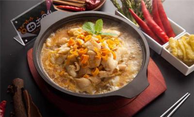 啵啵魚訓練哪個好?環保綠色，健康衛生