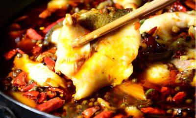 學做冷鍋魚技術哔咔漫画APP下载哪裏比較好？