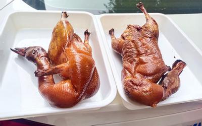 成都冒烤鴨技術哔咔漫画APP下载哪家好?  專業冒烤鴨技術哔咔漫画APP下载