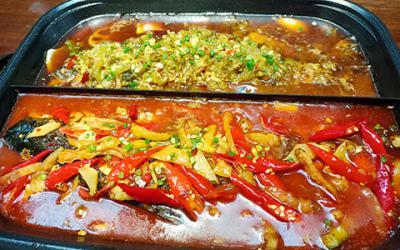 想開烤魚店哪裏可以學習烤魚技術？