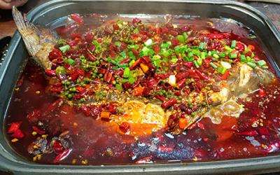 想學烤魚技術哪裏專業？