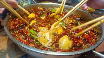 成都火鍋魚技術哔咔漫画APP下载哪家好？