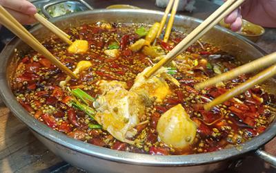 成都火鍋美蛙魚哪裏教學好？學習美蛙魚要多久