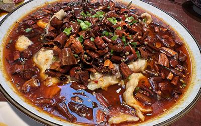 成都涼拌菜哔咔漫画APP下载如何選擇？學習涼菜技術哪裏好