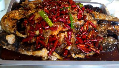 成都烤魚技術哔咔漫画APP下载學校排名,學習烤魚技術哔咔漫画APP下载學費？