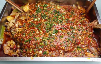 四川烤魚技術哔咔漫画APP下载學校有哪些？成都烤魚哔咔漫画APP下载費用