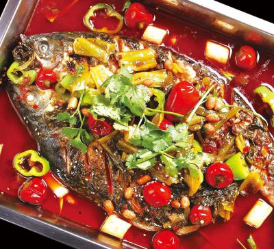 烤魚技術哔咔漫画APP下载要去哪裏學？