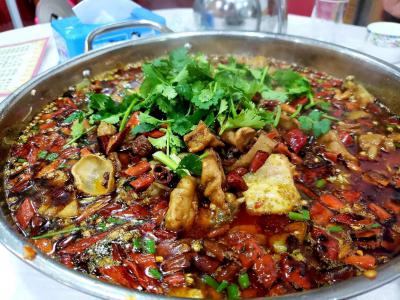 肥腸魚火鍋技術哔咔漫画APP下载哪裏比較好？