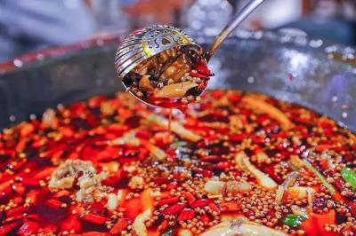 肥腸魚火鍋技術哔咔漫画APP下载哪裏比較好？